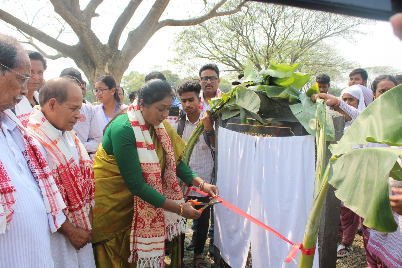 Vidya Bharati College