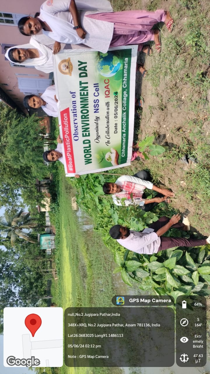 Vidya Bharati College